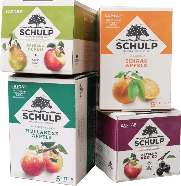 Schulp gruppiert 1