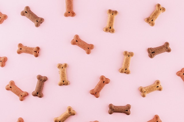 okeykat-w6elADh_jww-unsplash