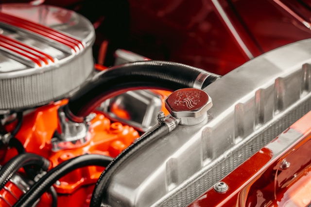 wallace-henry-TvvgoXga-sc-unsplash