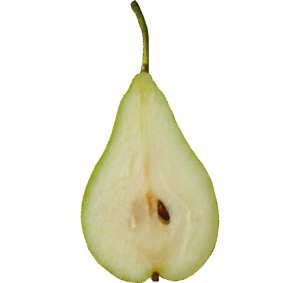 tijana-drndarski-FeOT3Gafjmk-unsplash